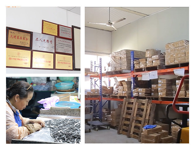 xiamen shangshang technology co.,ltd কারখানা উত্পাদন লাইন